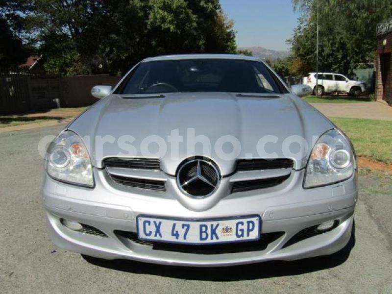 Big with watermark 1 copy copy copy copy 2 