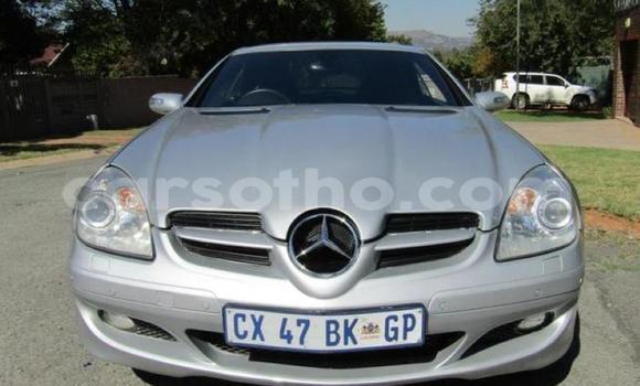 Acheter Occasion Voiture Mercedes-Benz SLK–Class Gris à Maputsoa, Leribe Acheter Occasion Voiture Mercedes-Benz SLK–Class Gris à Maputsoa, Leribe