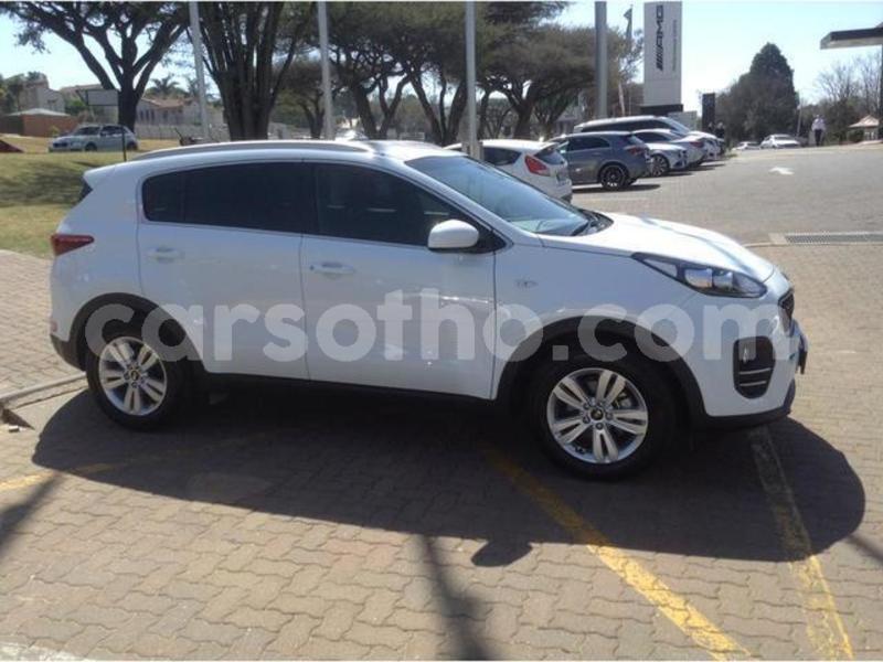 Big with watermark 4