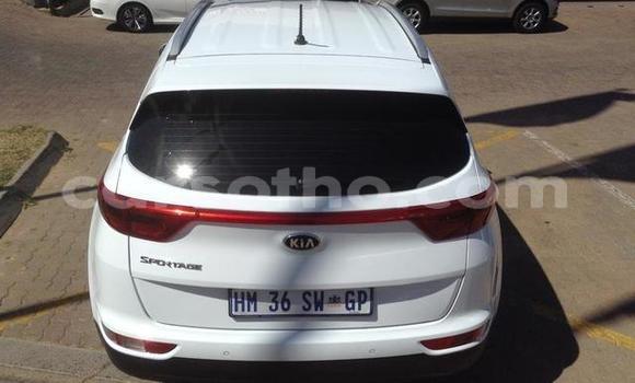 Acheter Occasion Voiture Kia Sportage Autre à Maseru, Maseru Acheter Occasion Voiture Kia Sportage Autre à Maseru, Maseru