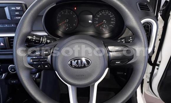 Acheter Occasion Voiture Kia Sportage Autre à Maseru, Maseru Acheter Occasion Voiture Kia Sportage Autre à Maseru, Maseru