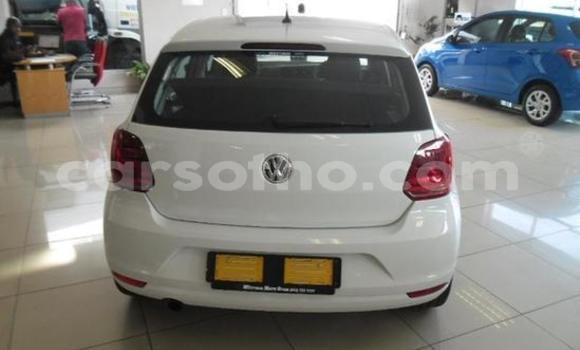 Buy Used Volkswagen Polo White Car in Maseru in Maseru Buy Used Volkswagen Polo White Car in Maseru in Maseru