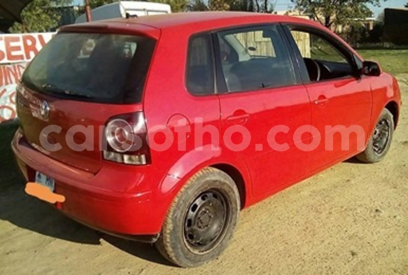 Big with watermark 59869776 2364572633771496 3072021074095898624 n