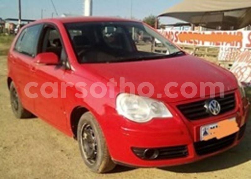 Big with watermark 60042169 2364572680438158 7992001601671790592 n