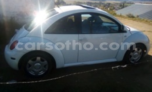 Acheter Occasion Voiture Volkswagen Beetle Blanc à Maseru, Maseru Acheter Occasion Voiture Volkswagen Beetle Blanc à Maseru, Maseru