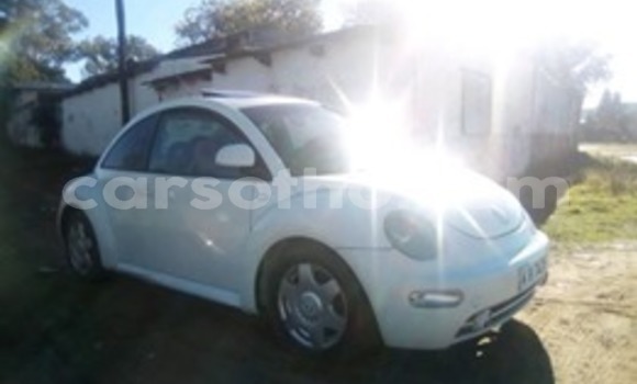 Acheter Occasion Voiture Volkswagen Beetle Blanc à Maseru, Maseru Acheter Occasion Voiture Volkswagen Beetle Blanc à Maseru, Maseru