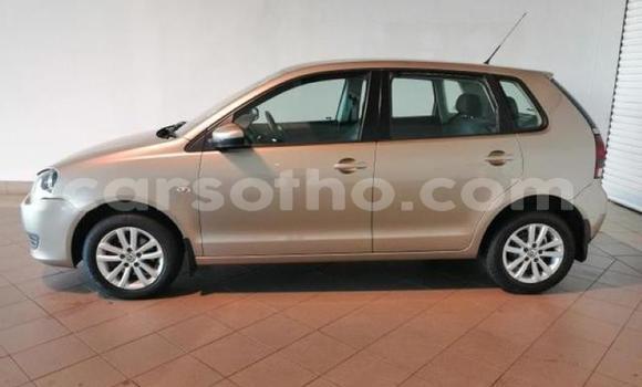 Buy Used Volkswagen Polo Brown Car in Butha Buthe in Butha-Buthe Buy Used Volkswagen Polo Brown Car in Butha Buthe in Butha-Buthe