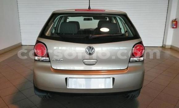 Buy Used Volkswagen Polo Brown Car in Butha Buthe in Butha-Buthe Buy Used Volkswagen Polo Brown Car in Butha Buthe in Butha-Buthe