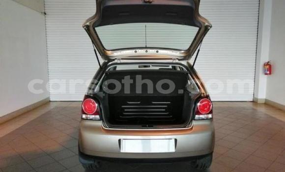 Buy Used Volkswagen Polo Brown Car in Butha Buthe in Butha-Buthe Buy Used Volkswagen Polo Brown Car in Butha Buthe in Butha-Buthe