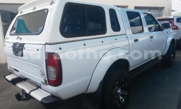 Acheter Occasion Voiture Nissan NP 300 Blanc à Maputsoe, Leribe Acheter Occasion Voiture Nissan NP 300 Blanc à Maputsoe, Leribe