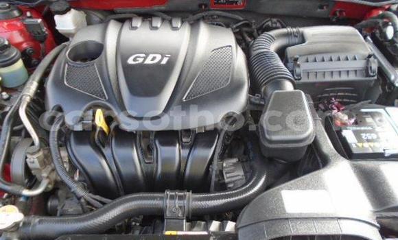 Sayi Na hannu Hyundai Sonata Red Mota in Maseru a Maseru Sayi Na hannu Hyundai Sonata Red Mota in Maseru a Maseru