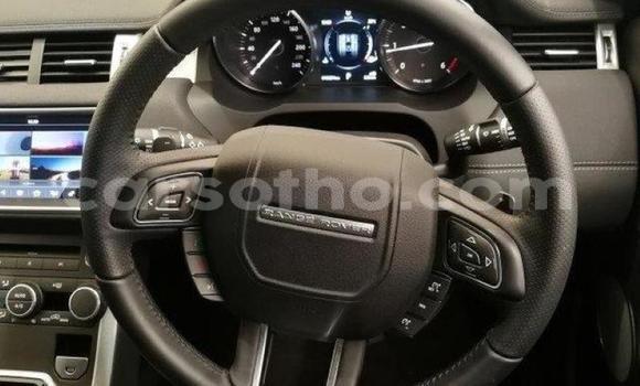 Buy Used Land Rover Range Rover Evoque Silver Car in Teyateyaneng in Berea Buy Used Land Rover Range Rover Evoque Silver Car in Teyateyaneng in Berea