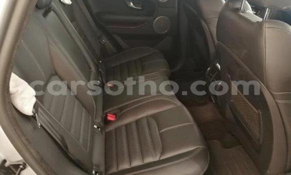 Buy Used Land Rover Range Rover Evoque Silver Car in Teyateyaneng in Berea Buy Used Land Rover Range Rover Evoque Silver Car in Teyateyaneng in Berea