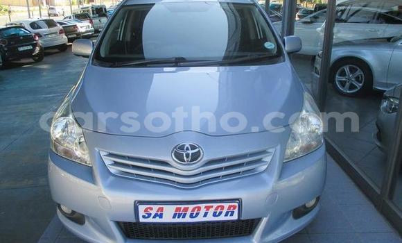 اشتري مستعمل Toyota Yaris Silver سيارة في Hlotse في Leribe اشتري مستعمل Toyota Yaris Silver سيارة في Hlotse في Leribe