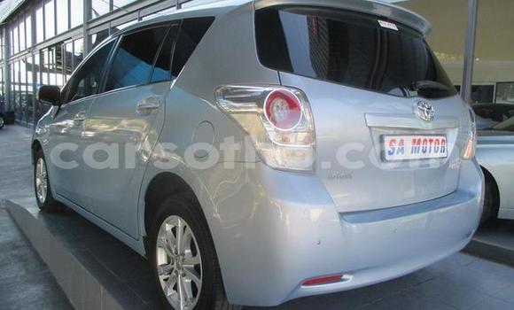 اشتري مستعمل Toyota Yaris Silver سيارة في Hlotse في Leribe اشتري مستعمل Toyota Yaris Silver سيارة في Hlotse في Leribe
