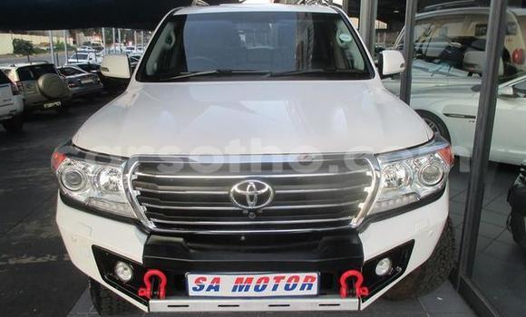 Acheter Occasion Voiture Toyota Land Cruiser Blanc à Hlotse, Leribe Acheter Occasion Voiture Toyota Land Cruiser Blanc à Hlotse, Leribe