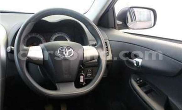 Buy Used Toyota Corolla Brown Car in Thaba–Tseka in Mafeteng Buy Used Toyota Corolla Brown Car in Thaba–Tseka in Mafeteng