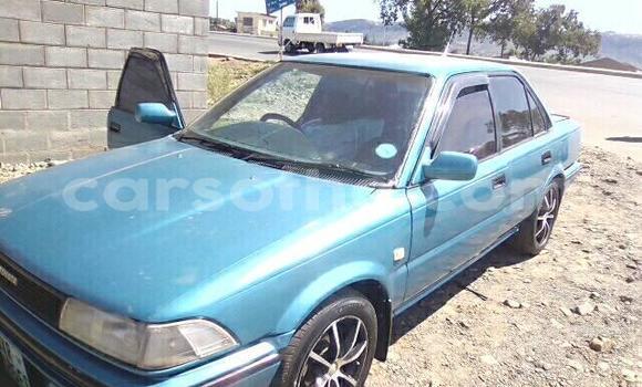 Buy Used Toyota Corolla Other Car in Maseru in Maseru Buy Used Toyota Corolla Other Car in Maseru in Maseru