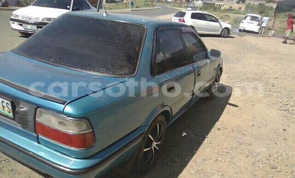 Acheter Occasion Voiture Toyota Corolla Autre à Maseru, Maseru Acheter Occasion Voiture Toyota Corolla Autre à Maseru, Maseru