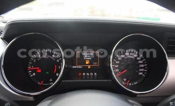 اشتري مستعمل Ford Mustang Blue سيارة في Maseru في Maseru اشتري مستعمل Ford Mustang Blue سيارة في Maseru في Maseru