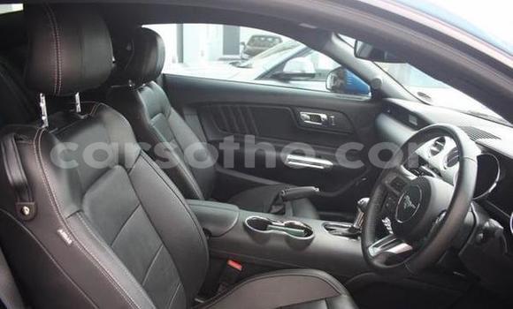 اشتري مستعمل Ford Mustang Blue سيارة في Maseru في Maseru اشتري مستعمل Ford Mustang Blue سيارة في Maseru في Maseru