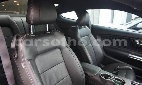 اشتري مستعمل Ford Mustang Blue سيارة في Maseru في Maseru اشتري مستعمل Ford Mustang Blue سيارة في Maseru في Maseru