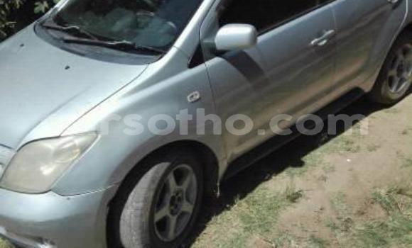 Sayi Na hannu Toyota IST Silver Mota in Maseru a Maseru Sayi Na hannu Toyota IST Silver Mota in Maseru a Maseru