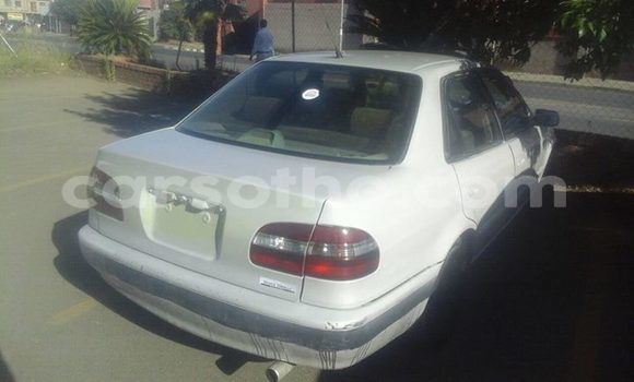 Buy Used Toyota Corolla Other Car in Maseru in Maseru Buy Used Toyota Corolla Other Car in Maseru in Maseru