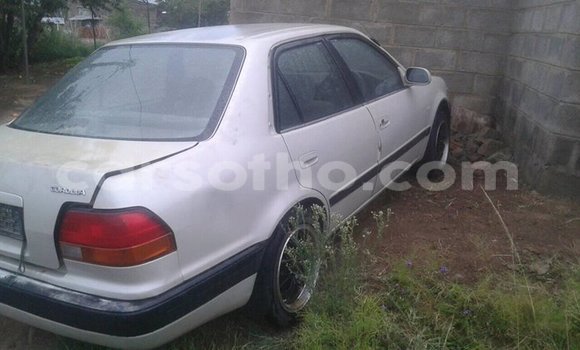 Buy Used Toyota Corolla Silver Car in Maseru in Maseru Buy Used Toyota Corolla Silver Car in Maseru in Maseru