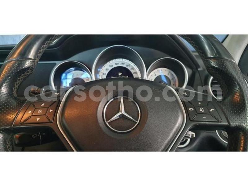 Big with watermark 4758643 12