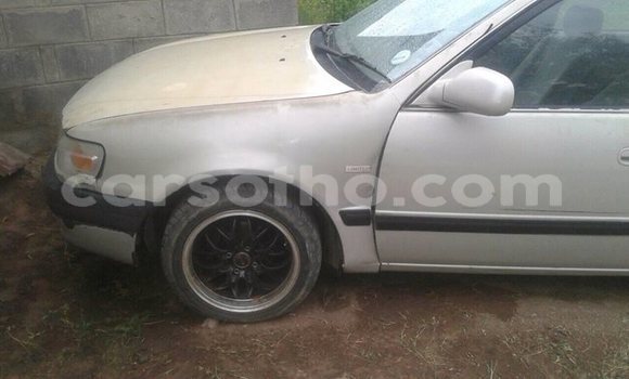 اشتري مستعمل Toyota Corolla Silver سيارة في Maseru في Maseru اشتري مستعمل Toyota Corolla Silver سيارة في Maseru في Maseru