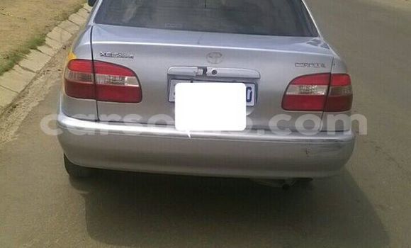 Buy Used Toyota Corolla Silver Car in Maseru in Maseru Buy Used Toyota Corolla Silver Car in Maseru in Maseru