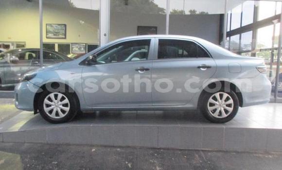 Acheter Occasion Voiture Toyota Corolla Bleu à Hlotse, Leribe Acheter Occasion Voiture Toyota Corolla Bleu à Hlotse, Leribe