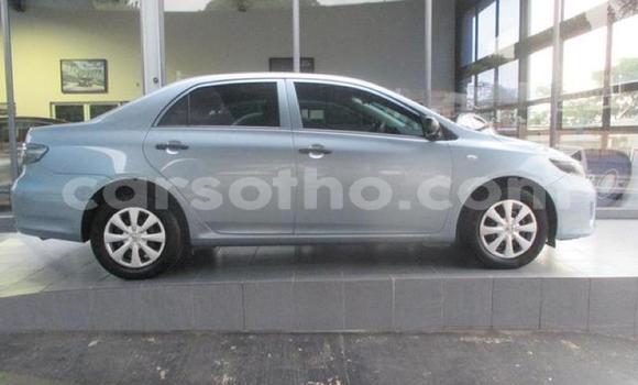 Acheter Occasion Voiture Toyota Corolla Bleu à Hlotse, Leribe Acheter Occasion Voiture Toyota Corolla Bleu à Hlotse, Leribe