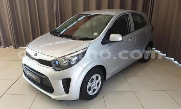 Buy Used Kia Picanto Silver Car in Maseru in Maseru Buy Used Kia Picanto Silver Car in Maseru in Maseru
