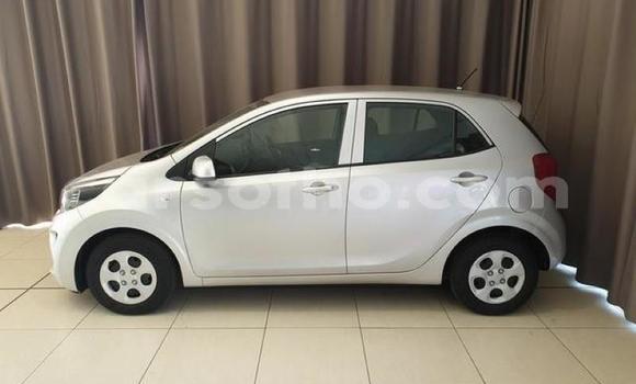 Buy Used Kia Picanto Silver Car in Maseru in Maseru Buy Used Kia Picanto Silver Car in Maseru in Maseru