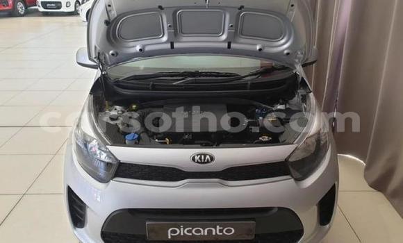 Buy Used Kia Picanto Silver Car in Maseru in Maseru Buy Used Kia Picanto Silver Car in Maseru in Maseru