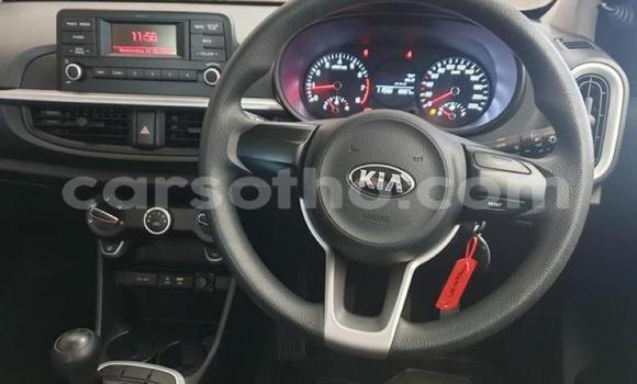 Buy Used Kia Picanto Silver Car in Maseru in Maseru Buy Used Kia Picanto Silver Car in Maseru in Maseru