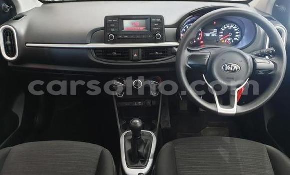 Buy Used Kia Picanto Silver Car in Maseru in Maseru Buy Used Kia Picanto Silver Car in Maseru in Maseru