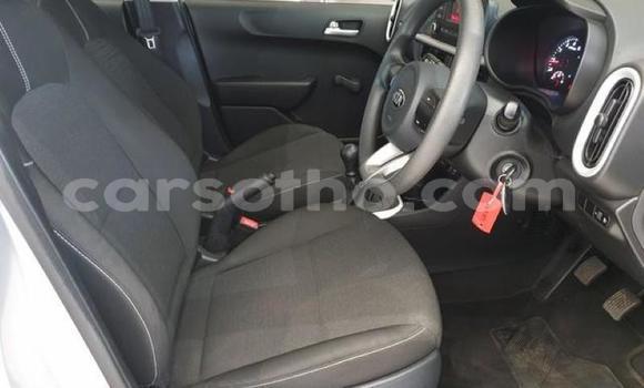 Buy Used Kia Picanto Silver Car in Maseru in Maseru Buy Used Kia Picanto Silver Car in Maseru in Maseru