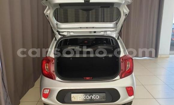 Buy Used Kia Picanto Silver Car in Maseru in Maseru Buy Used Kia Picanto Silver Car in Maseru in Maseru