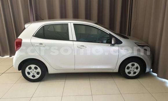 Buy Used Kia Picanto Silver Car in Maseru in Maseru Buy Used Kia Picanto Silver Car in Maseru in Maseru