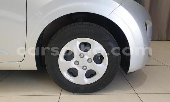 Buy Used Kia Picanto Silver Car in Maseru in Maseru Buy Used Kia Picanto Silver Car in Maseru in Maseru