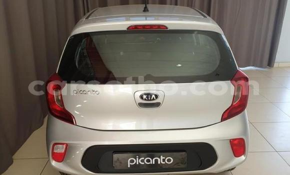 Buy Used Kia Picanto Silver Car in Maseru in Maseru Buy Used Kia Picanto Silver Car in Maseru in Maseru