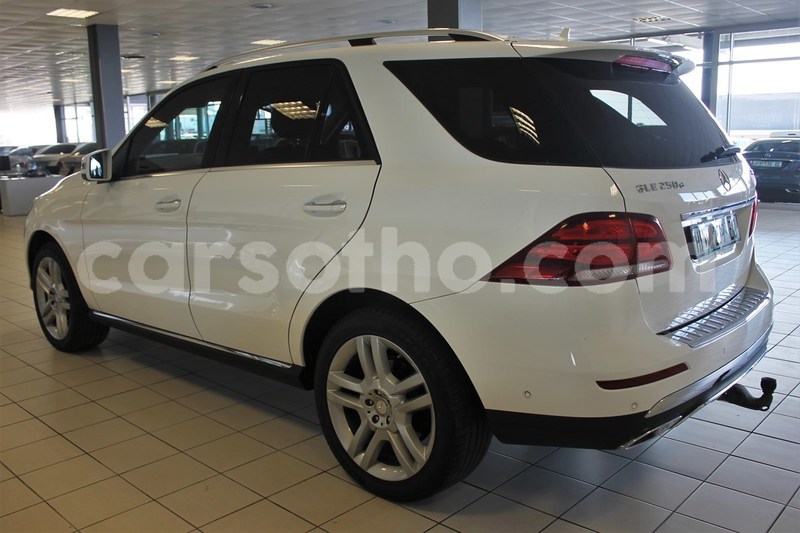 Big with watermark 6 id4472712 6