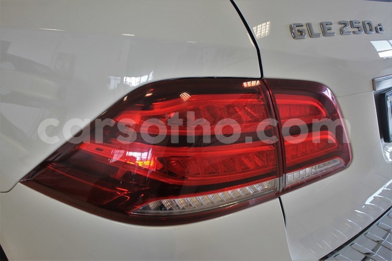 Big with watermark 8 id4472712 8