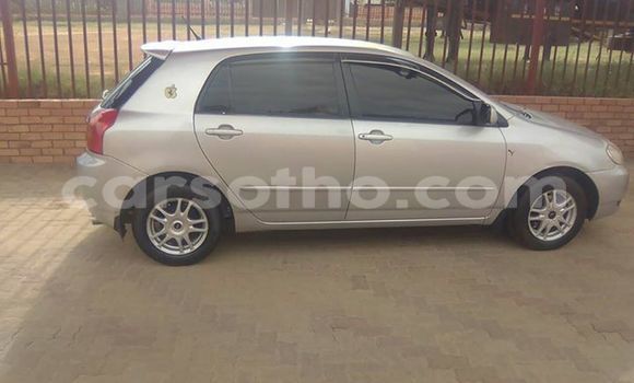 Acheter Occasion Voiture Toyota Runx Gris à Maseru, Maseru Acheter Occasion Voiture Toyota Runx Gris à Maseru, Maseru