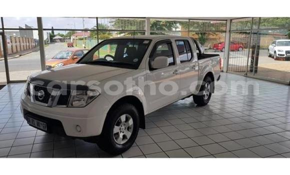 Sayi Na hannu Nissan Navara White Mota in Maputsoa a Leribe Sayi Na hannu Nissan Navara White Mota in Maputsoa a Leribe