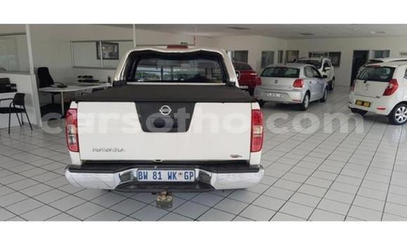 Sayi Na hannu Nissan Navara White Mota in Maputsoa a Leribe Sayi Na hannu Nissan Navara White Mota in Maputsoa a Leribe