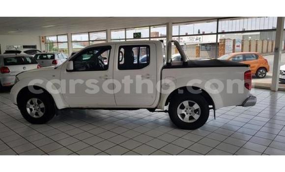 Sayi Na hannu Nissan Navara White Mota in Maputsoa a Leribe Sayi Na hannu Nissan Navara White Mota in Maputsoa a Leribe
